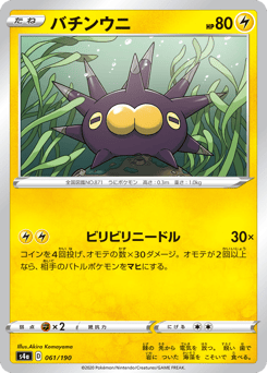 Japanese Pincurchin (バチンウニ)