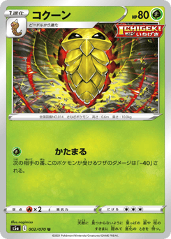 Japanese Kakuna (コクーン)