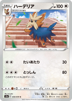 Japanese Herdier (ハーデリア)