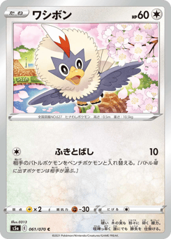 Japanese Rufflet (ワシボン)