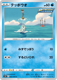 Japanese Remoraid (テッポウオ)