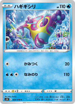 Japanese Bruxish (ハギギシリ)