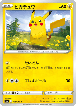 Japanese Pikachu (ピカチュウ)