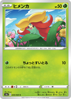 Japanese Gossifleur (ヒメンカ)