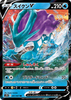 Japanese Suicune (スイクンV)