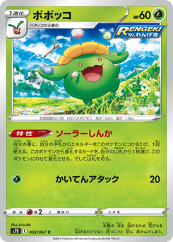 Japanese Skiploom (ポポッコ)