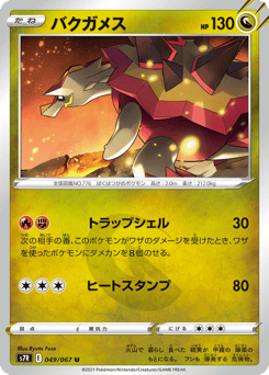 Japanese Turtonator (バクガメス)