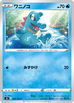 Japanese Totodile (ワニノコ)