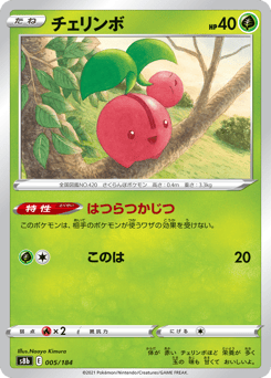 Japanese Cherubi (チェリンボ)