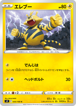 Japanese Electabuzz (エレブー)
