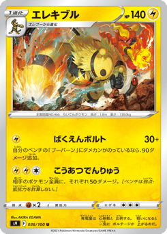 Japanese Electivire (エレキブル)