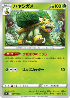 Japanese Grotle (ハヤシガメ)