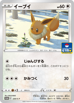 Japanese Eevee (イーブイ)