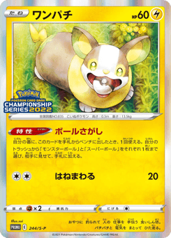 Japanese Yamper (ワンパチ)