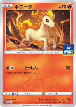 Japanese Ponyta (ポニータ)