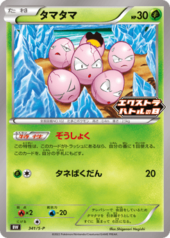 Japanese Erika's (タマタマ)
