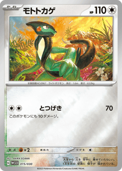 Japanese Cyclizar (モトトカゲ)