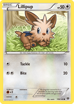 Lillipup XY #108