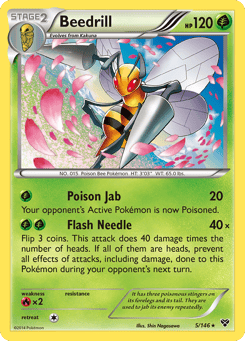 Beedrill XY #5