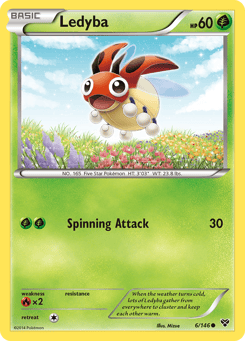 Ledyba XY #6