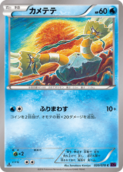 Japanese Binacle (カメテテ)