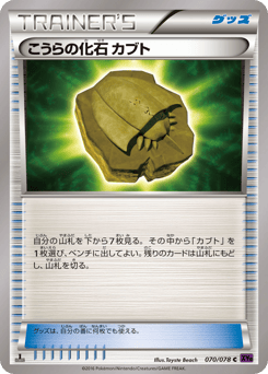 Japanese Kabuto (こうらの化石 カブト)