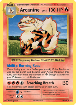 Arcanine Evolutions #18