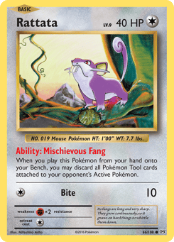Rattata Evolutions #66
