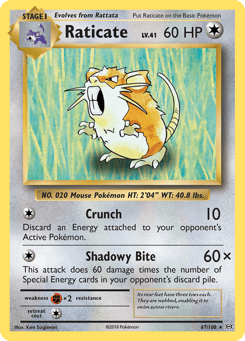 Raticate Evolutions #67