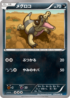 Japanese Sandile (メグロコ)