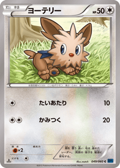 Japanese Lillipup (ヨーテリー)