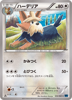 Japanese Herdier (ハーデリア)