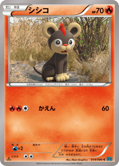 Japanese Litleo (シシコ)
