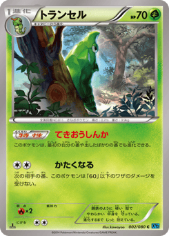Japanese Metapod (トランセル)