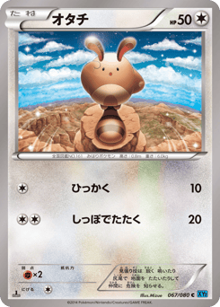 Japanese Sentret (オタチ)