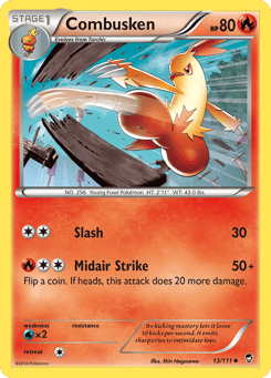 Combusken Furious Fists #13