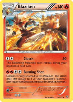 Blaziken Furious Fists #14
