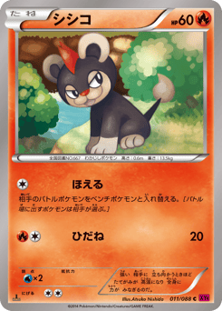 Japanese Litleo (シシコ)