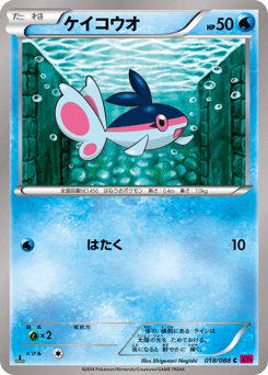 Japanese Finneon (ケイコウオ)
