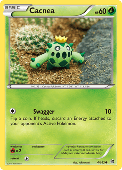 Cacnea BREAKthrough #4