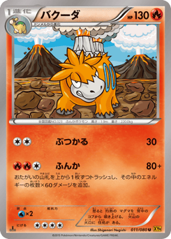 Japanese Camerupt (バクーダ)