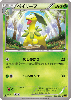 Japanese Bayleef (ベイリーフ)