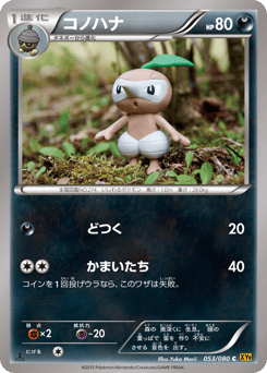 Japanese Nuzleaf (コノハナ)