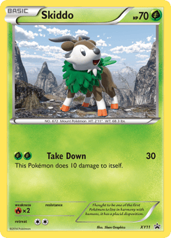 Skiddo XY Black Star Promos #XY11