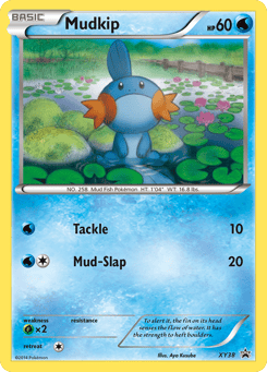 Mudkip XY Black Star Promos #XY38