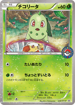 Japanese Chikorita (チコリータ)