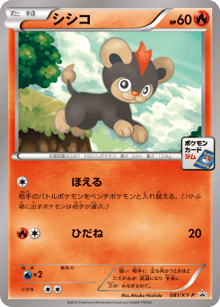 Japanese Litleo (シシコ)
