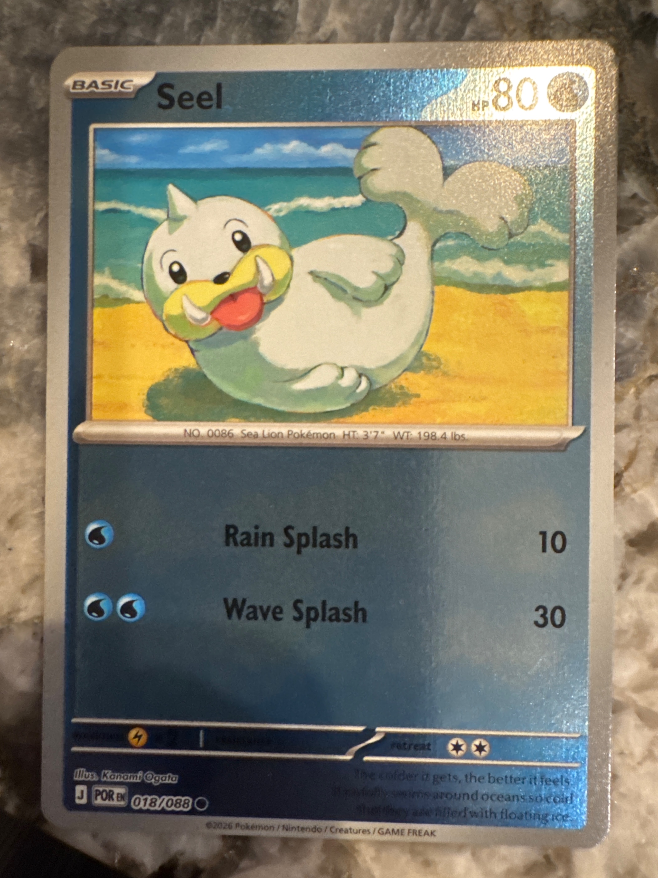 Seel