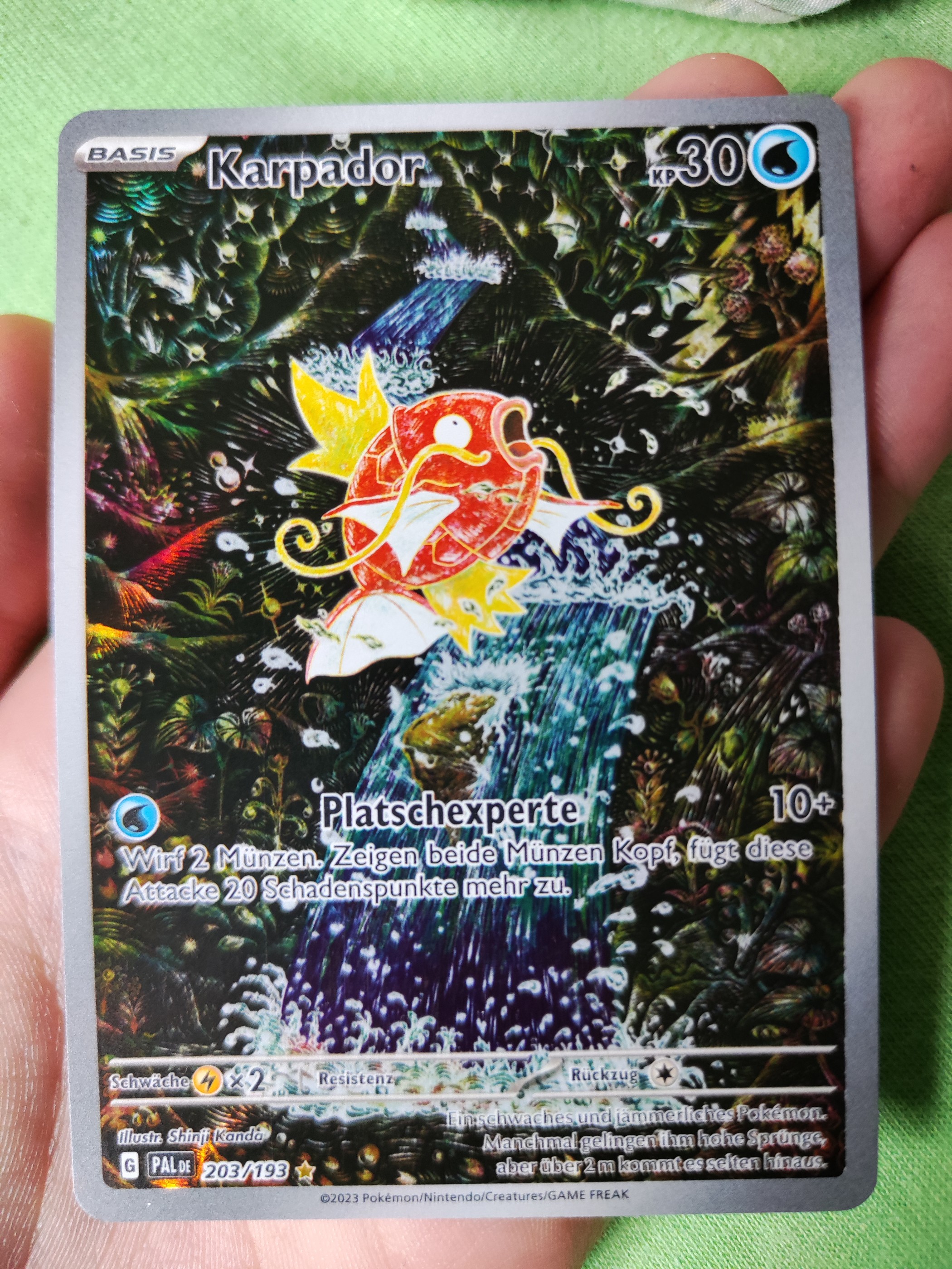 Magikarp