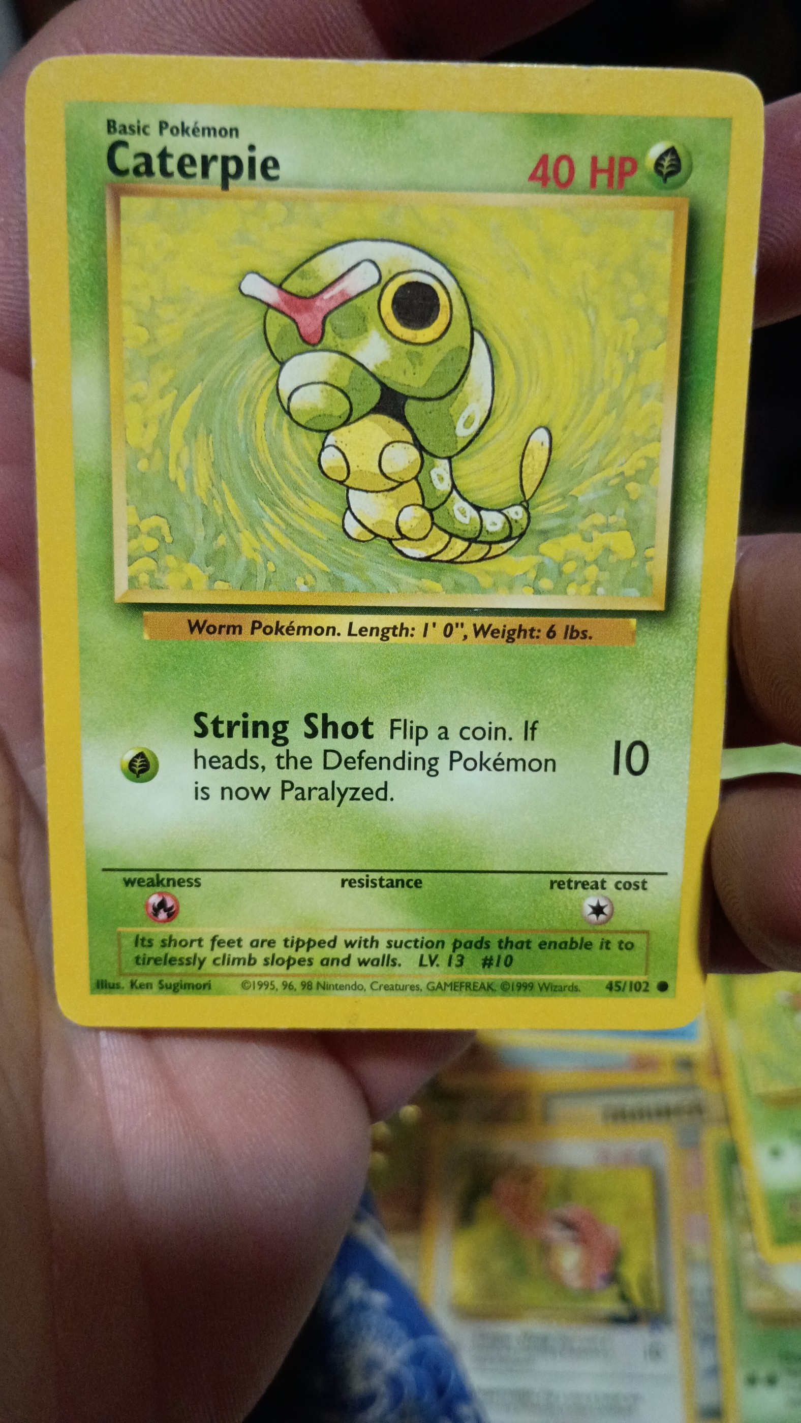 Caterpie